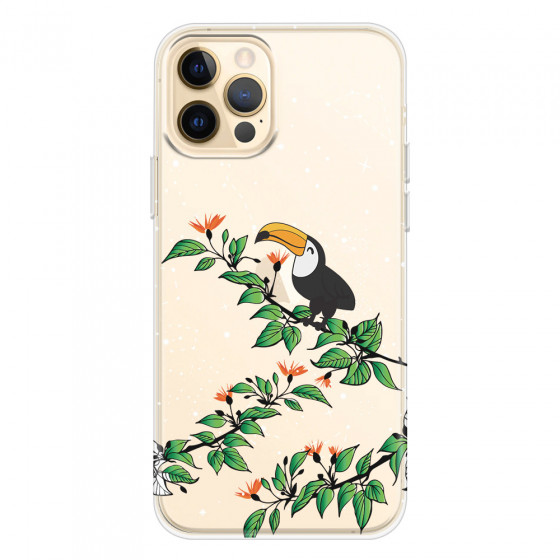 APPLE - iPhone 12 Pro - Soft Clear Case - Me, The Stars And Toucan